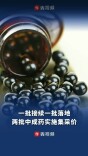 一批接续一批落地，湖南两批中成药实施集采价