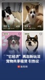 租只“毛孩子”过周末悄然流行，行业监管仍待规范｜消费新观察
