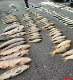 非法捕捞40余吨水产品，捕捞者和“放水”保安被公诉