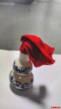 “灵芝药酒”竟是洁厕灵兑水，菜市场里的“神医”获刑