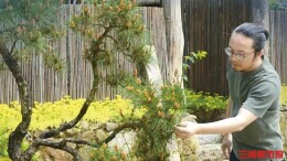 “85后”设计师返乡变身“乡村CEO”，七年打造大围山民宿IP