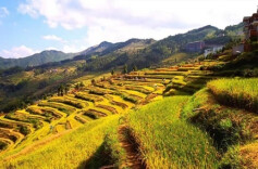 秋色即将上新，湖南金秋等你来