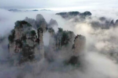 秋食宜“清补”，“贴秋膘”时候未到