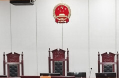 宠物猫治疗后主人拒付费弃养，法院：宠物归医院，费用原主付