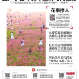 读报|10月15日《三湘都市报》版面速览