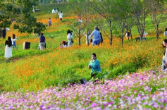 水杉步道、桂花盛宴、芦苇花海……长沙公园里藏着N种秋日浪漫