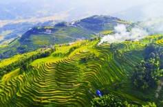 跟着这份秋日赏色地图，踩着最佳时间节点，看芦苇绕岸彩林浓烈