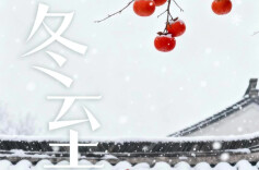 二十四节气·冬至