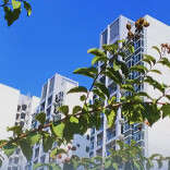 12月5年期和1年期利率维持不变，已连续7个月保持不变