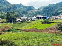 生活更好，乡情更浓，千亿扶持点亮湘西村落幸福生活