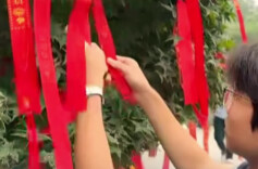 湖南发布元旦春节祭扫倡议书：安全、文明、节俭、绿色