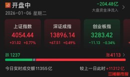 沪指创10年新高，脑机接口板块继续走强