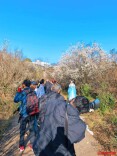 梅花开了！长沙“梅花季”提前报到，这份赏梅攻略请收好