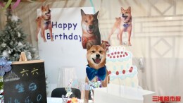 “给宠物点一份麻辣烫”，宠物零食也能“现点现做”！提醒：热度之下需理性消费
