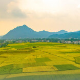 湖南3地入选！全国首届自然资源节约集约示范县（市）创建成果发布