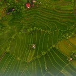 两部门：利用存量土地等发展国家支持产业，可享受不超过5年的过渡期政策