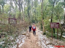 “画马”流行，景区明令“禁行”仍有人“逆行”！提醒：请安全爬山