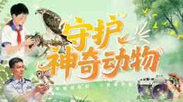 1月25日读报丨“湘野守护”的全民交响