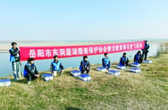 湖南已有30家野生动物救护机构，全民接力参与，一次次刷新“生命极限”