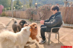 “毛孩子”老龄化潮凸显，宠物养老需求亟待“填空”