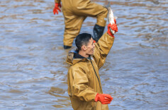 我是刘贵香 |  马跃兴洲年味足