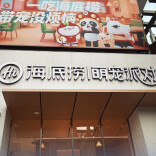 萌宠经济引领潮流，海底捞开设宠物友好门店