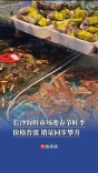 长沙海鲜市场迎春节旺季：价格普涨，销量同步攀升|过年啦
