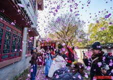 住进桃花源，开心过大年！传统庙会等文旅盛宴持续至3月3日丨过年啦  