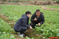 “站好田里的岗”，“00后”农技员的春节值守｜新春走基层