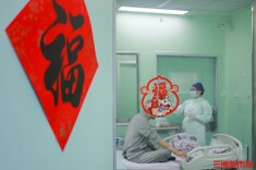 大年初一两个家庭团圆，他们在移植仓门口等来了新生