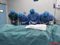 团圆时节面临分别，他们仍用大爱赠出“生机”丨新春走基层