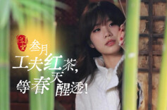 闲坐·三月丨工夫红茶，等春天醒透！