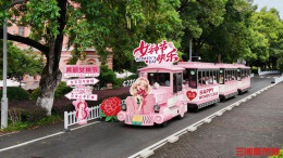 妇女节来橘子洲打卡“粉色小火车”