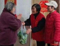 小区空地变共享菜园，方寸之地凝聚邻里温情，“圆了老人们的农耕梦”｜26℃