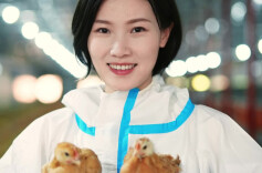 为养殖装上“疫病鹰眼”，二孩宝妈用科技守护餐桌安全
