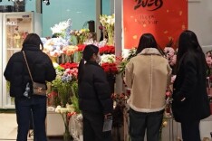 妇女节鲜花迎来消费热潮，价格看涨