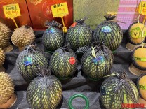 早春西瓜抢鲜上市身价高，买一个要花近百元