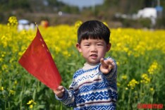 达瞰  |  春日色彩：金灿灿