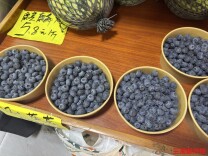 从“贵族果”到“按桶卖”，长沙蓝莓价格日趋亲民