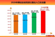 今年春运湖南高速出入口流量达1.56亿辆，创历史新高