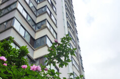 天降砖头砸伤老人，十户邻居被诉，二楼算不算高空引发争议