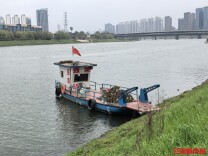 市民反映：湘江出现不明漂浮物！长沙城管：大量水葫芦过境，正在开展专项治理