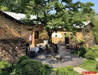 一杯咖啡激活闲置农房，“村咖”解锁乡野休闲新玩法