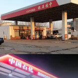 因高度仿冒“中国石化”标识，河北“中园石化”被立案调查