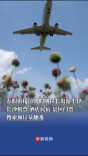 春假衔接清明假期拉长出游半径，长沙机票、酒店民宿、景区门票搜索预订量翻番