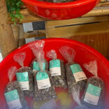 春江水暖螺蛳肥！长沙人的春日限定已批量上市