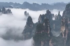 雨后张家界云海宛如水墨画