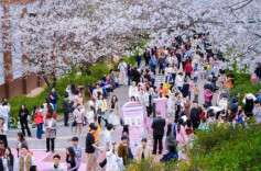 新场景新业态涌现，推动赏花游向沉浸式体验升级