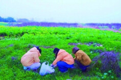 城市边缘徒步“说走就走”，还可来场“舌尖上的踏青”