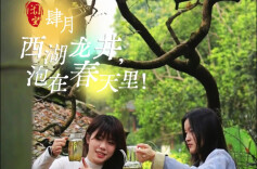 四月丨西湖龙井，泡在春天里
